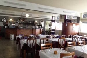 A Carro&ccedil;a do Sabugo