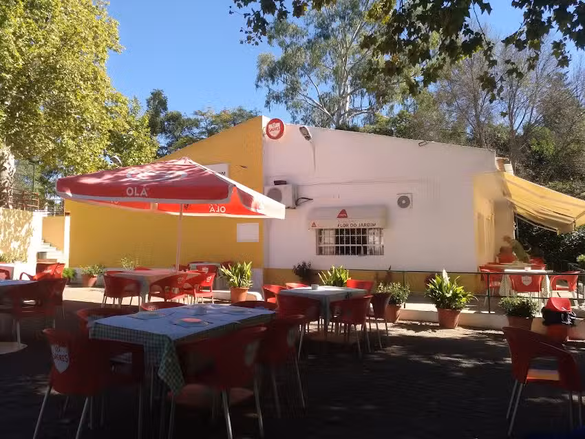 A Flor do Jardim