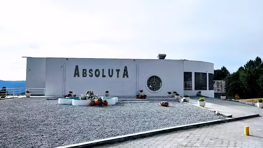 Absoluta
