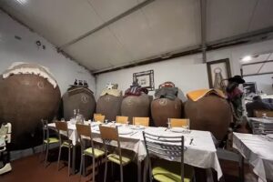 Adega Courelas da Quinta