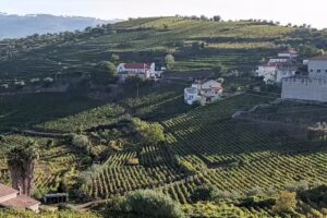 Adega Regional Beça