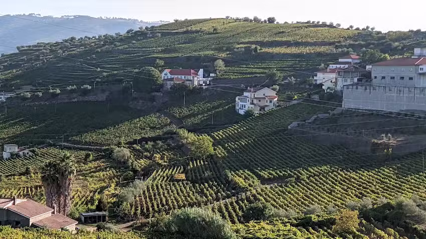 Adega Regional Be&ccedil;a