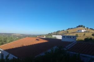 Agroneg&oacute;cios, Sociedade Unipessoal, Lda.