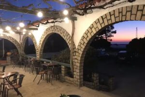 AMMARO&rsquo;S 47 VIANA