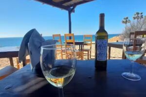 Ant&oacute;nio T&aacute; Certo &ndash; Almancil