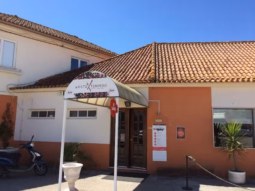 Aristotempero