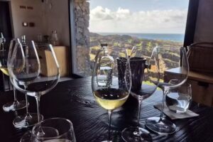 Azores Wine Company