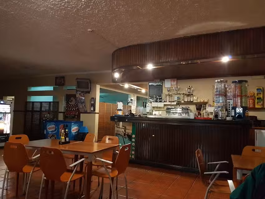 Bar Pool Flamingo