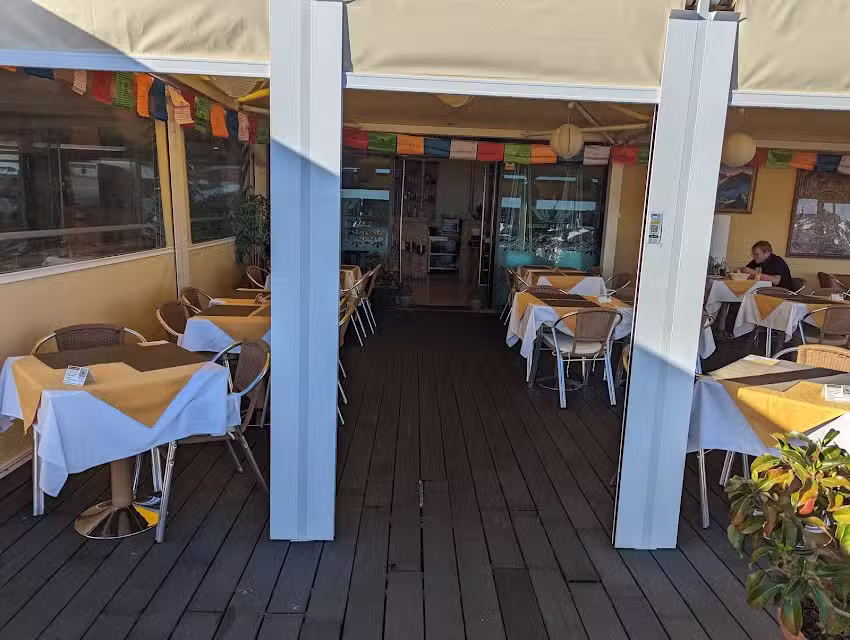 Buddha & Sakura, Calheta