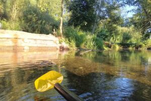 Caf&eacute; Beira Rio