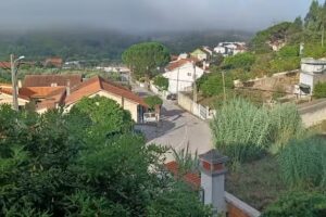 Caf&eacute; Cervejaria David