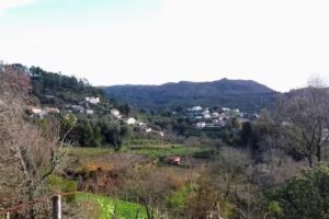 Caf&eacute; Snack Bar O Cunha