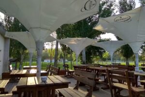 Cafetaria Natural & Abstracto