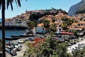 Camara de lobos cafe