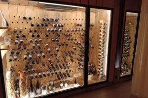 Canalha Comporta &ndash; Jo&atilde;o Rodrigues