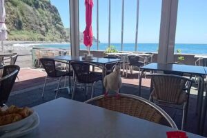 Cantinho do Lugar de Baixo