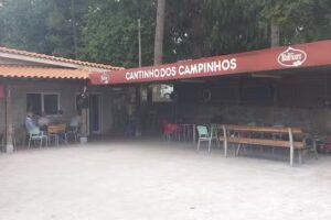 Cantinho dos Campinhos &ndash; Prato do dia