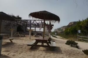 Carvalhal Beach Nature