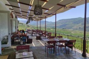 Casa dos Ecos by Pedro Lemos