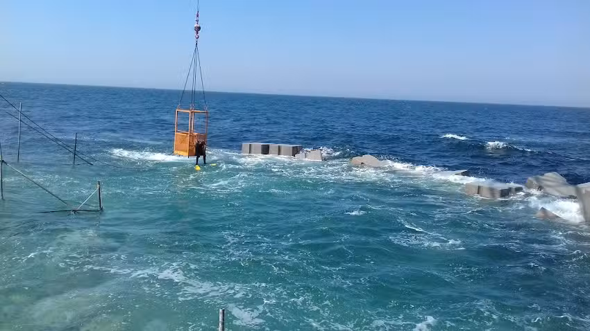 Casa Lelo &ndash; Aurelio Xavier De Barros & Filhos, Lda.