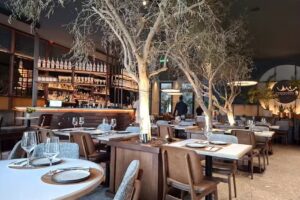 Cerqueira&rsquo;s Aliados