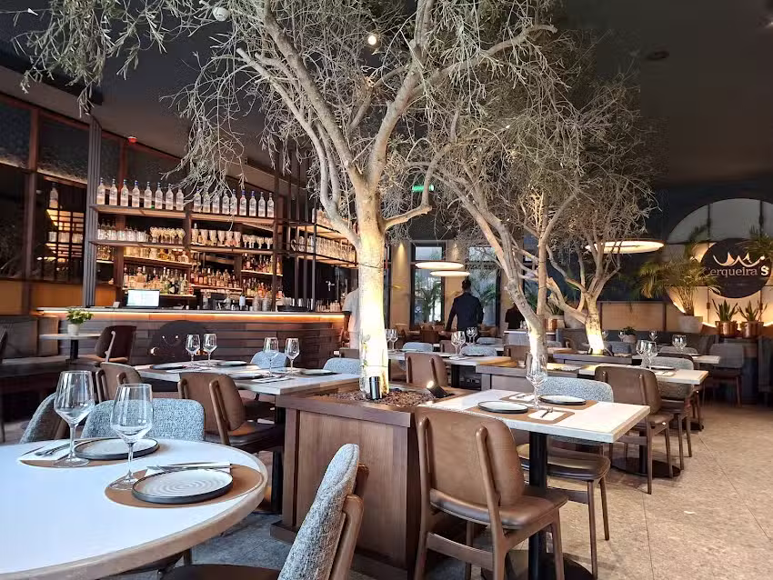 Cerqueira&rsquo;s Aliados