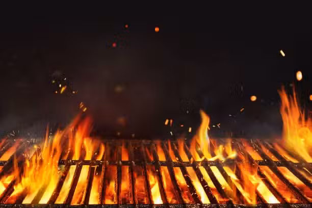 Churraskaria &ndash; O Alentejo pela Grelha