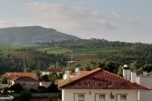 Churrasqueira 2 Palmeiras