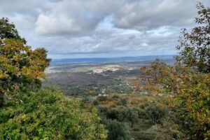 Churrasqueira da Quinta &ndash; Amieiro