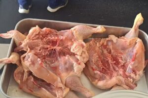 Churrasqueira Dora Mota