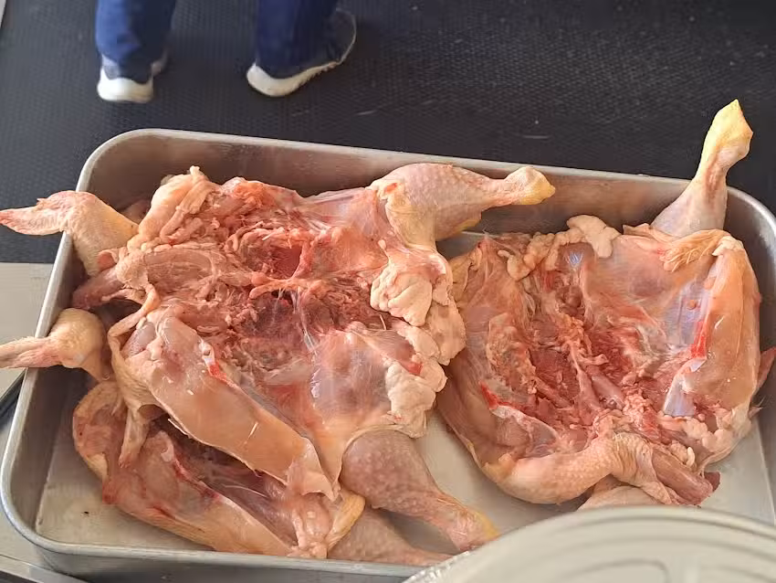 Churrasqueira Dora Mota