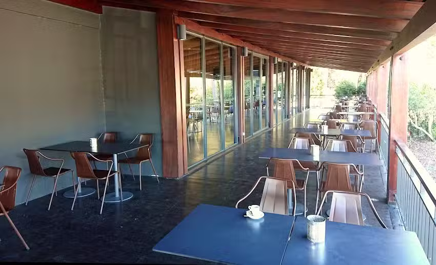 Colibri Mealhada S/N