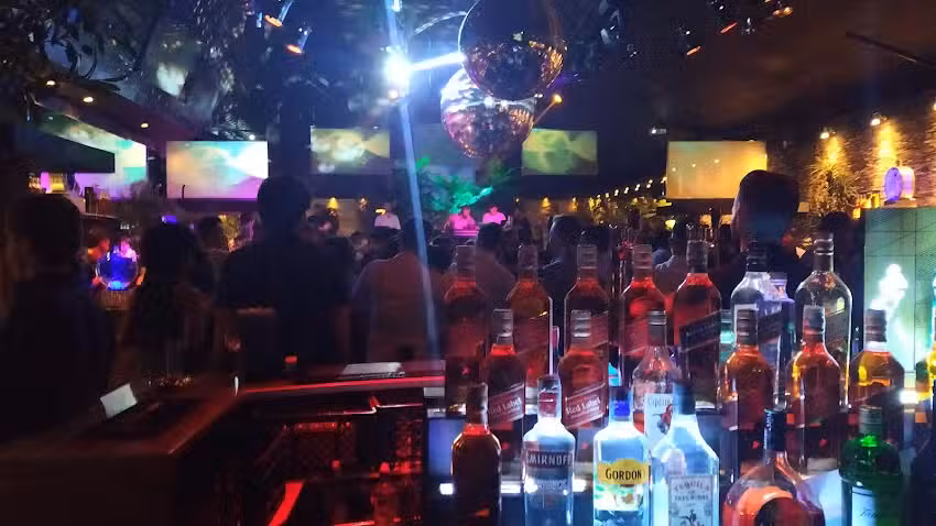 Discoteca Sardinha Biba