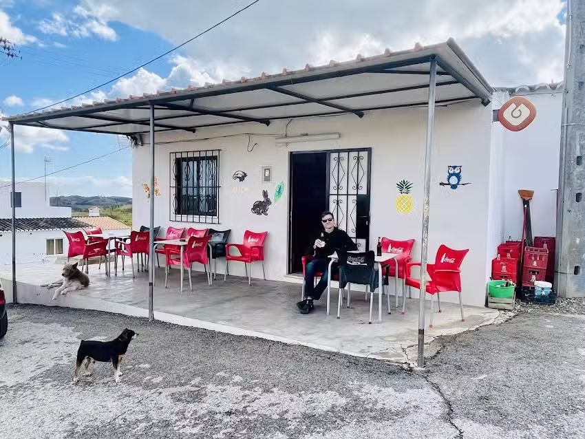 dog bar