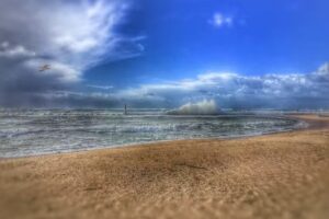 Ela’s Petiscos Bar