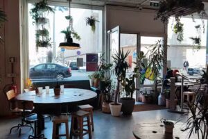 Fauna & Flora- Anjos