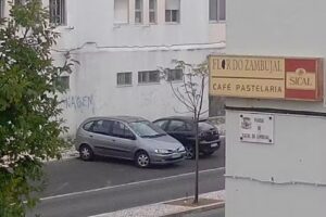 Flôr do Zambujal II de Alfragide