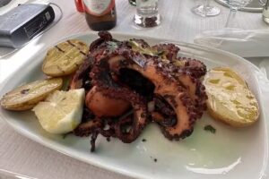 Flor dos Jer&oacute;nimos