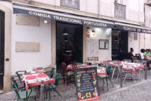 Floresta do Calhariz