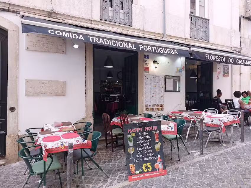 Floresta do Calhariz