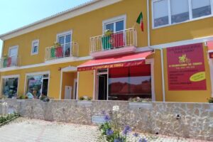 Franguinho de Febres