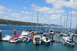 Funsea – be a sea fan