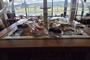 Herdade Clube Tiro Monfortinho