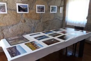 João Teixeira & Antonio Pinto, Lda.