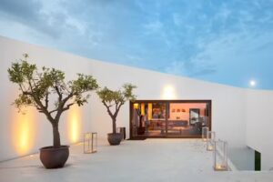 L&rsquo;And Vineyards