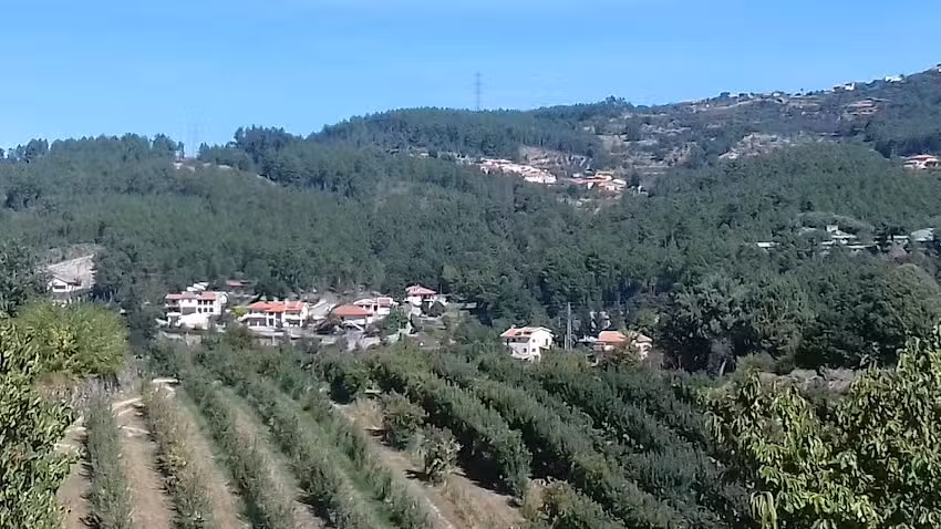 Leit&atilde;o dos Arcos,Lda
