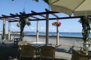 Lulu Caf&eacute; & Bar