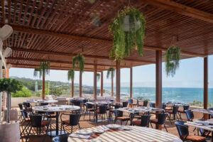 Maré de José Avillez