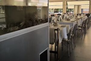 Marisqueira Lusit&acirc;nia