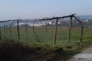 Marlitos-café Restaurante Lda (sobrado)